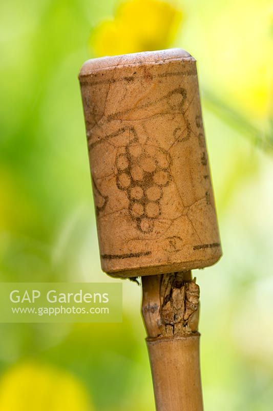 Decorative corks are used as protective cane-ends.