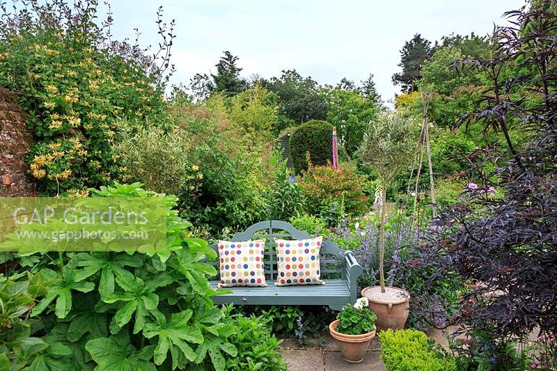 Quiet sitting area with painted seat and spotty cushions in country cottage garden. 