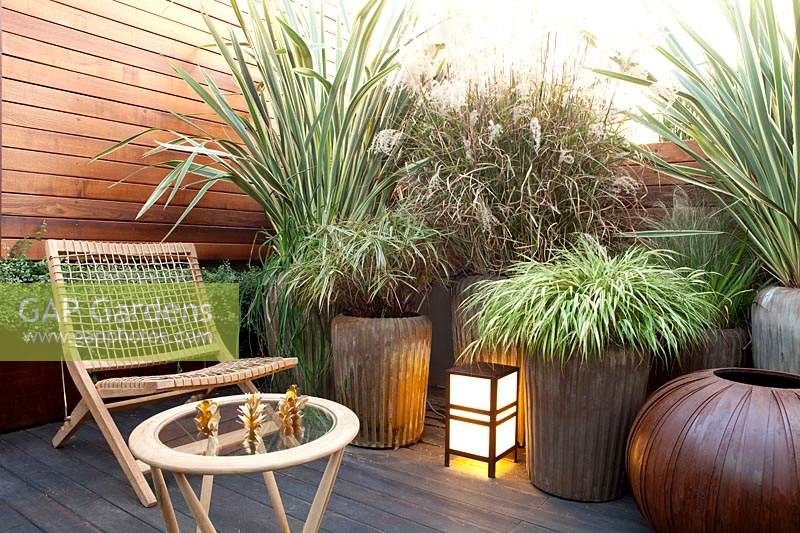 Seat on the terrace surrounded by mixed pots of Phormium tenax 'Variegatum', Carex buchananii , Iris pseudacorus, Laurus nobilis, Equisetum hynemale robustum, Festuca glauca, Chasmanthius latifolium, Olea europea and Panicum virgatum