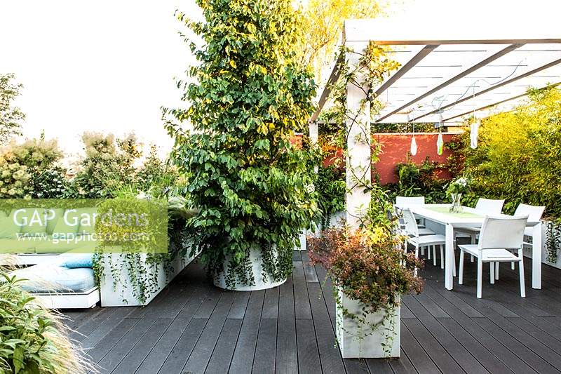 View along decked terrace with different seating areas separated by foliage plants, such as Parrota persica 'vanessa' in free-standing pot and a pergola under dining area 