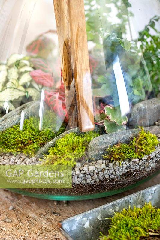 Using wooden tongs to place moss inside a terrarium