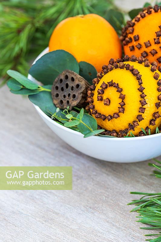 Table decoration with bowl full of clove-studded oranges with Eucalyptus foliage and seedhead