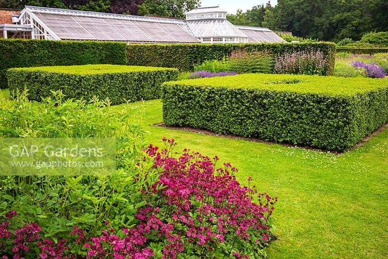 Clipped topiary Buxus sempervirens - Box cubes in The Spring and Summer Box Borders, at Scampston Hall Walled Garden, North Yorkshire, UK.