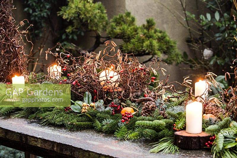 Outdoor table decoration made with 'twisted' hazel branches of Corylus avellana 'Contorta', branches of Abies nordmanniana, Picea pugnes 'Hopsii', Pittosporum tobira berries, rosehips, candles pine cones and mandarins