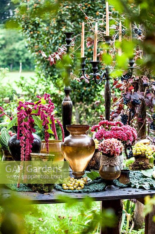Autumn table decorated with hydrangeas, carnations, amaranth, grapes, candlesticks and metal vase