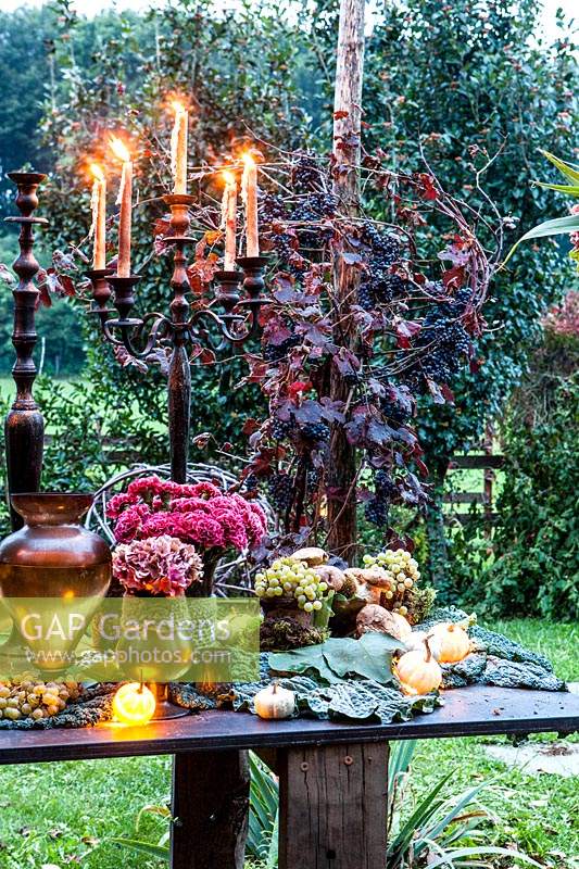 Autumn table decorated with  hydrangeas, carnations, amaranth, grapes, savoy cabbage and mushrooms and candlesticks