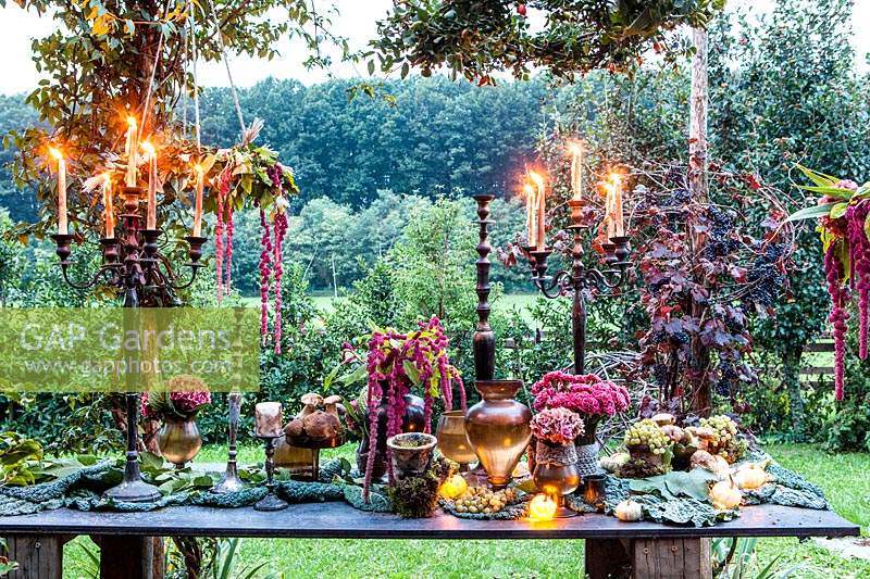 Autumn table decorated with hydrangeas, carnations, amaranth, grapes, savoy cabbage and candlesticks