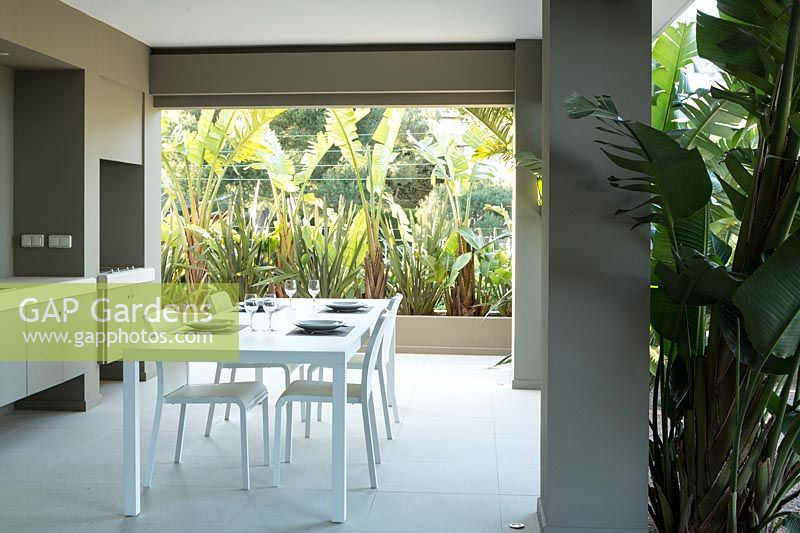 View through outdoor kitchen with dining area, Strelitzia and Phormium planted near the house