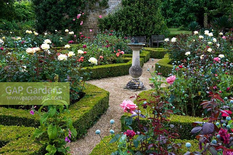 Sundial in centre of Parterre with Rosa - Rose - beds edged with Buxus - Box 