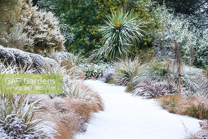 Path covered in snow... stock photo by Joanna Kossak, Image: 1389770