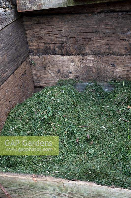 Grass clippings on a compost heap. 