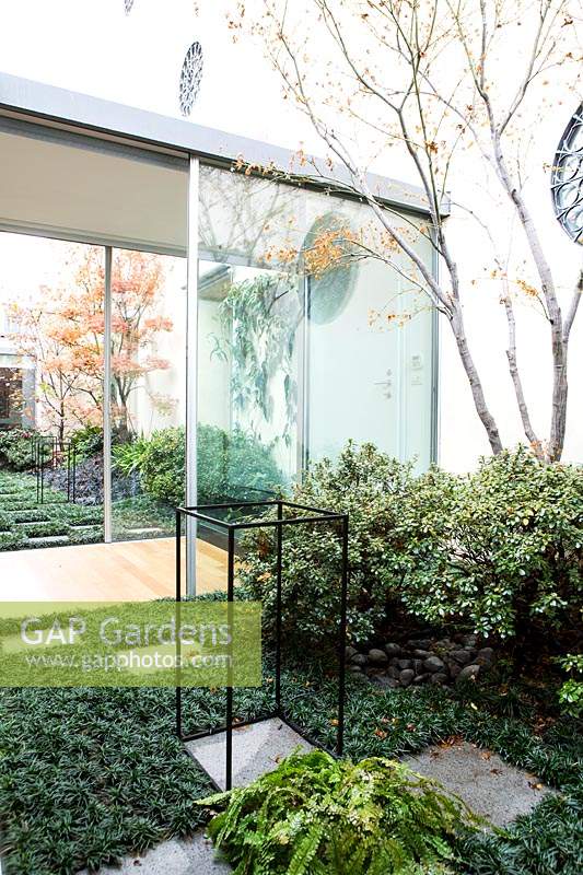 Terrace garden planted with shrubs and evergreen perennials, with grass and paving checkered pathway.