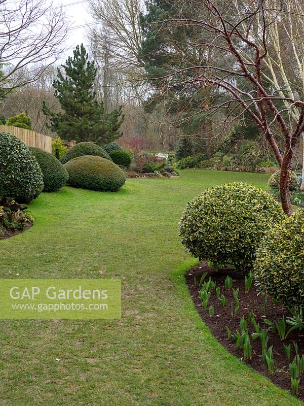 Globe and dome topiary bushes draw the eye along the lawn and through the garden
