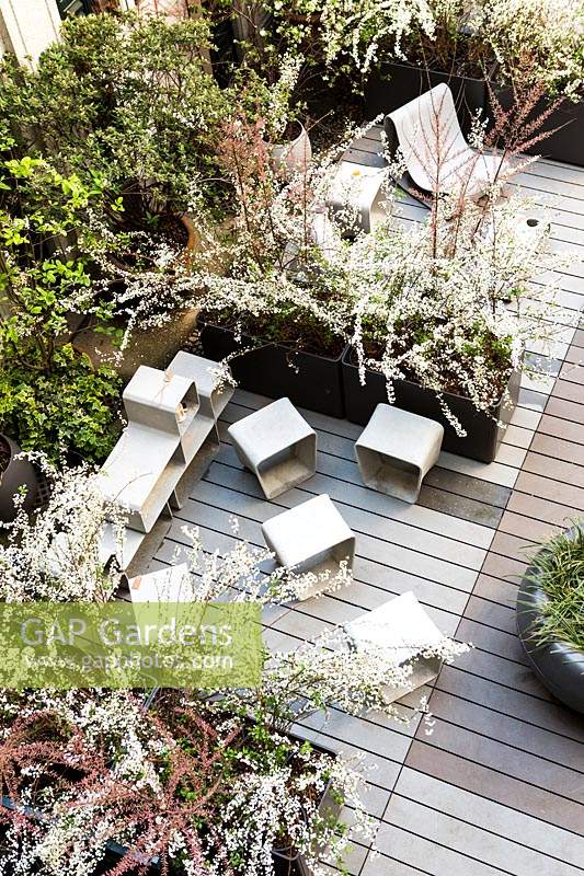 Overview of modern decking area with raised bed of Spiraea prunifolia plena and Tamarix gallica