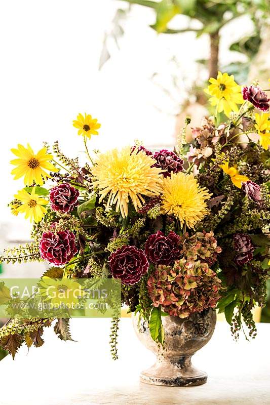 Anduze pot with floral arrangement, with Dianthus 'Minerva', Helianthus tuberosus, Chrysanthemum 'Anastasia Sunny', Hydrangea, Coleus and Phytolacca. 