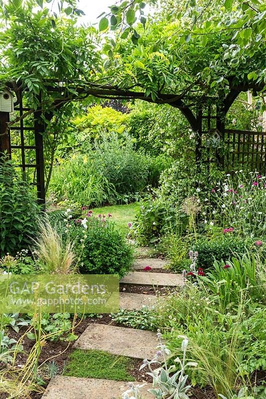 Stepping stones lead under the arch of a wooden pergola with Wisteria, borders of perennials and grasses in an informal cottage-garden style