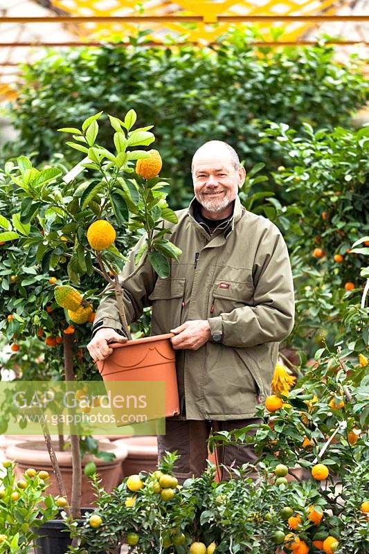 Man holding potted Citrus plant in a nursey