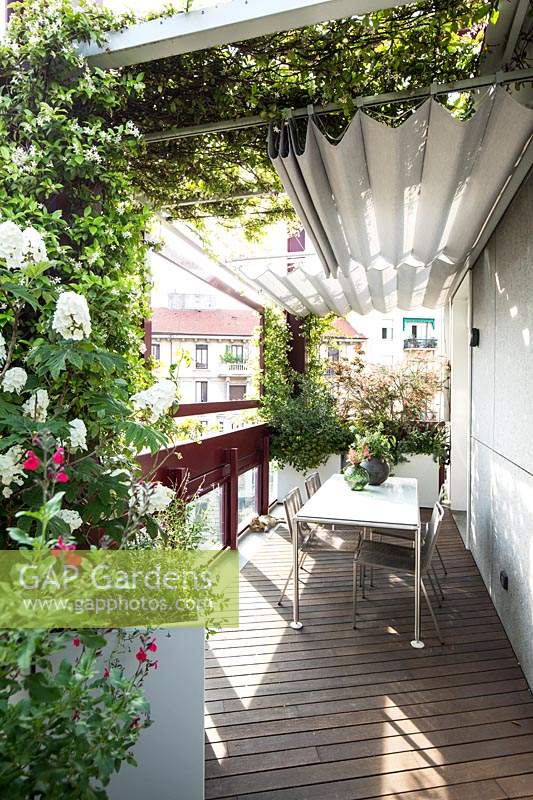 View along terrace to shaded dining area, planter with Hydrangea and climbing Jasmine