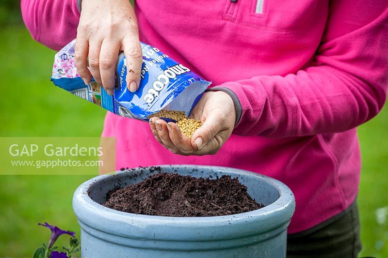 Planting up a container of bedding plants, measuring amount of compost by using a 1 litre pot to fill then calculating how much slow release fertiliser to add