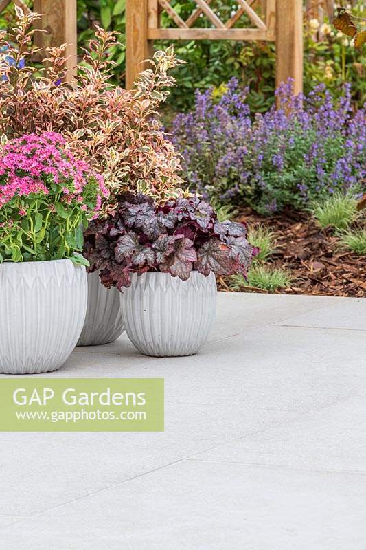 Pots of colourful plants sat upon context porcelain patio
