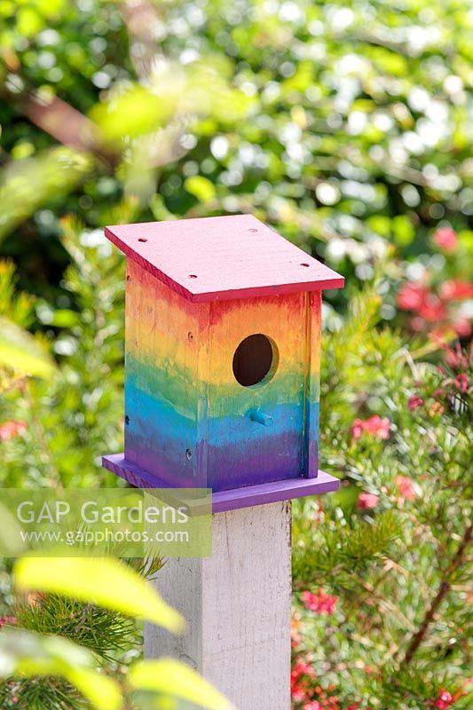 Bird box painted in rainbow colours on a wooden post 