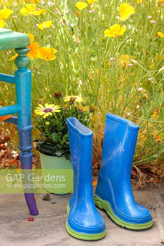 Blue welly boats on patio with colourful chair and potted Osteospermum