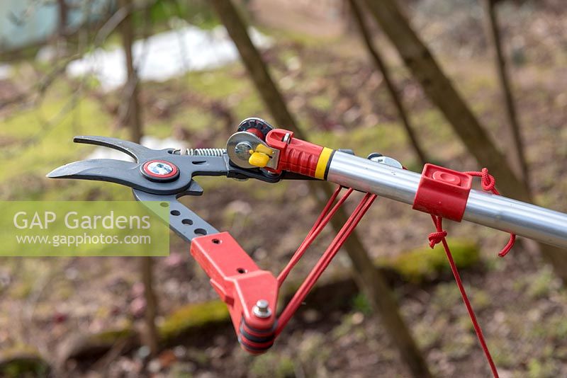Long-handled pruner, close up of the cutting end showing pulley attached to blades 