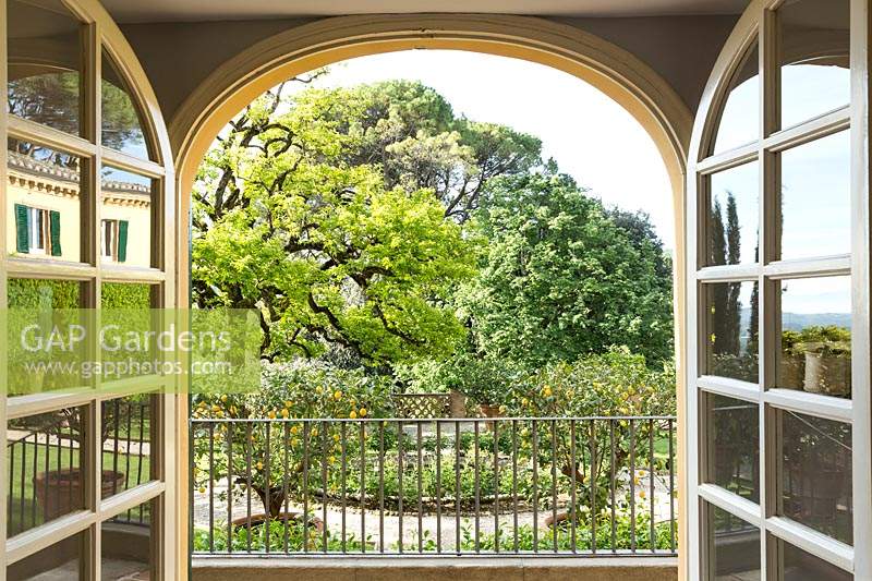 View from inside the house out over railings to parterre with a Diospyros kaki - Persimmon tree