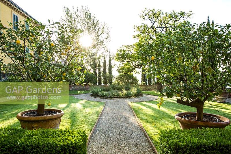 View along path of a parterre to central pond, on either side a grass bed, in foreground Citrus - Lemon - trees in pots 