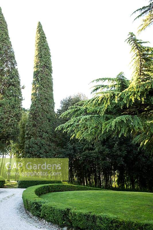 Entrance with specimen trees such as Cupressus sempervirens - Cypress 