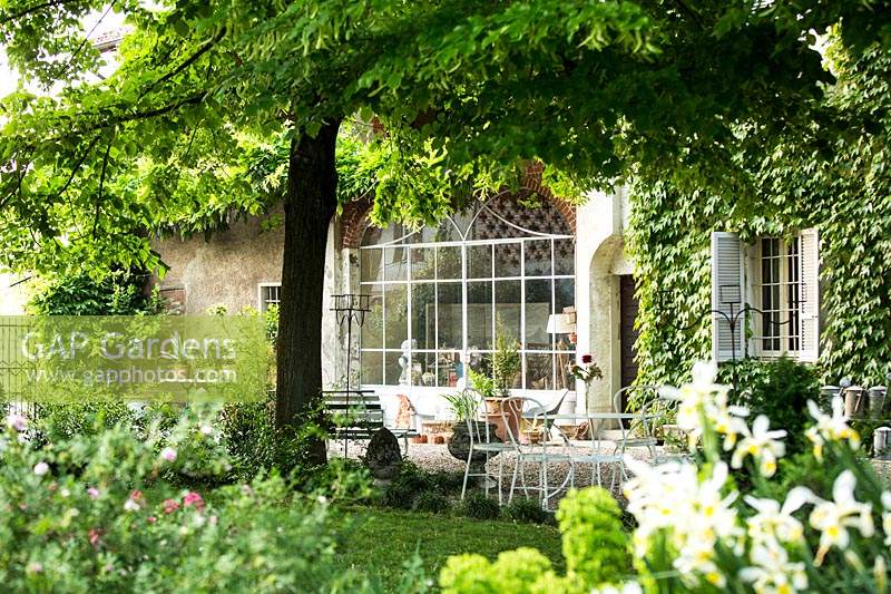 view over flowerbed and tree to the facade of the house covered with Parthenocissus tricuspidata 'Veitchii' - Boston Ivy, furniture on gravel drive 