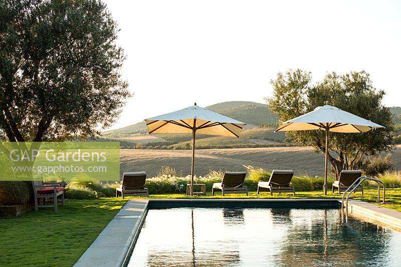 Swimming pool area set in grass, with sun loungers facing out over Pennisetum to countryside landscape  