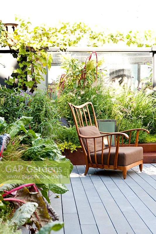 Relaxed seating area beside a border wall created to hide the adjacent building. Corten containers planted with chard, pennisetum, amaranths and castors, rosemary, tulbaghie