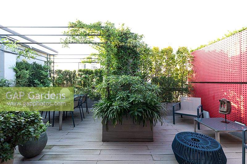 Overview of decked roof garden with dining area under pergola and red partition, plant screens at boundary and planter with bold foliage