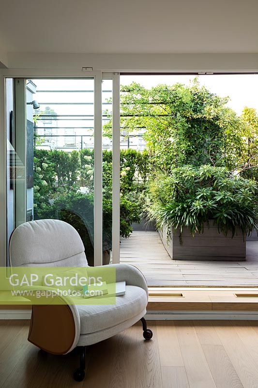 View of roof garden from inside the house, sliding glass doors to decked area divided by planter with an Edgeworthia, beyond a metal pergola with climbers 