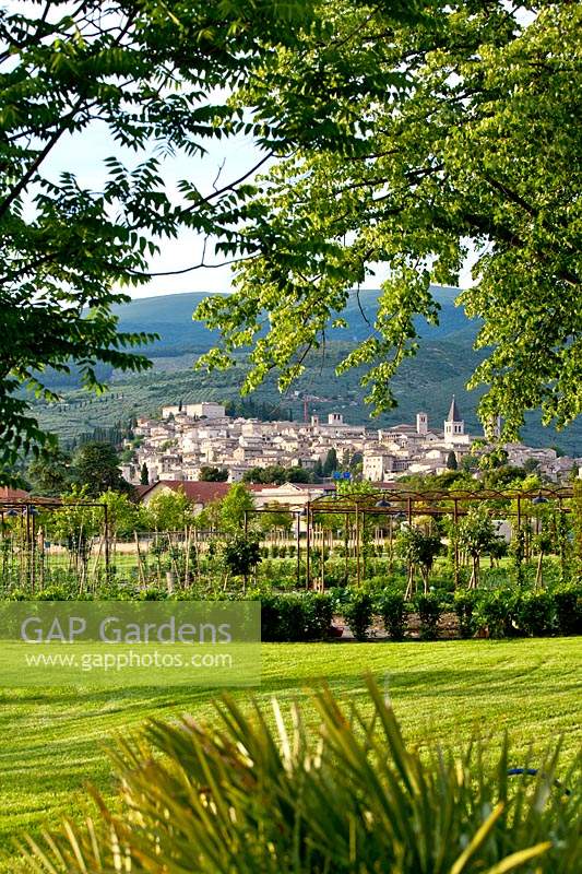 View over lawn to geometric garden with Spello in the background