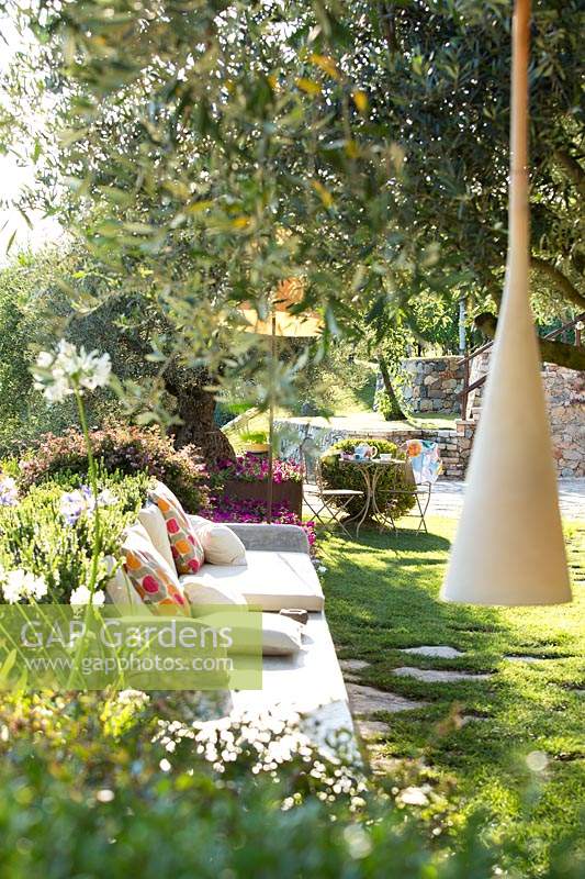 Relaxed area in garden by Olea europaea - Olive - tree
