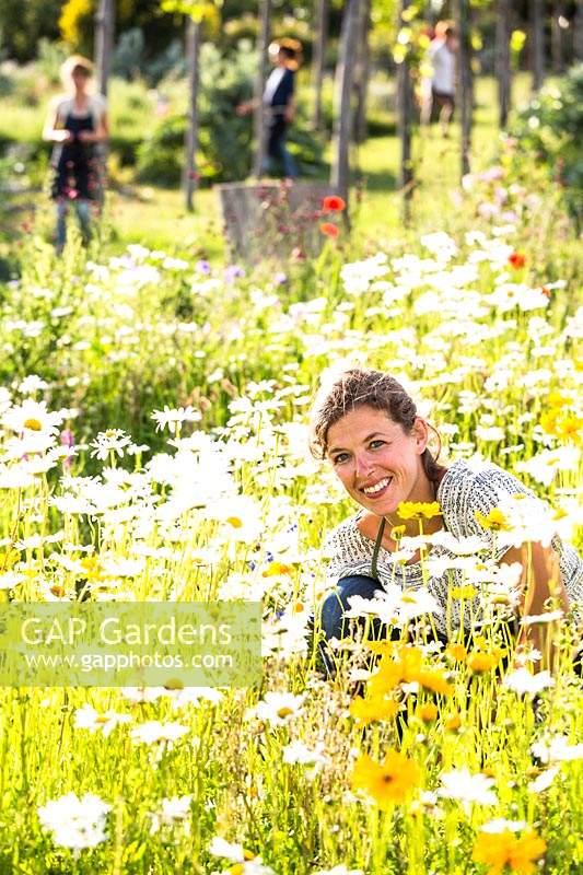 Picking flowers in the fields for cutting, other workers in background