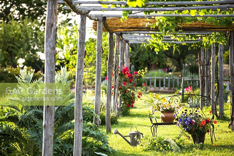 View through wooden pergola to bench with buckets of cut flowers 