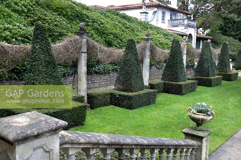 Line of topiary on lawn with wall behind, clipped pyramids within squares alternating with columns 