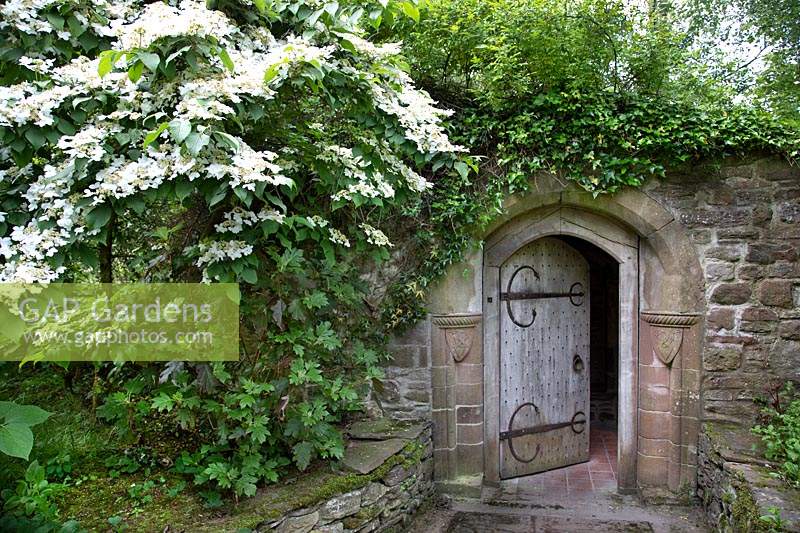 Secret wooden door to a stone folly 
