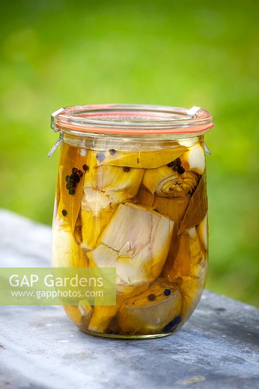 Pickled artichokes in kiln jar