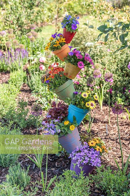 Rainbow pot tower adding height and colour to flower bed