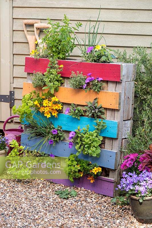 Pallet planter filled with colourful bedding and decorated with rainbow colours