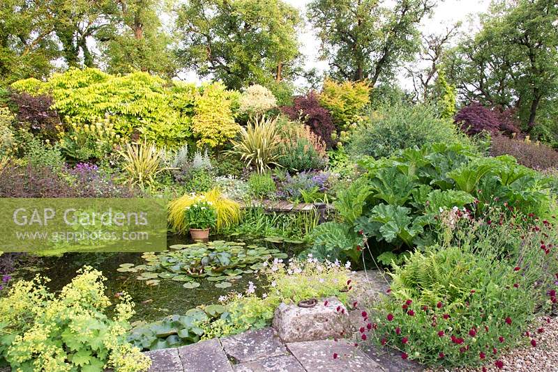 Natural sunken pond with aquatic and marginal planting, surrounded by bank of mixed planting 