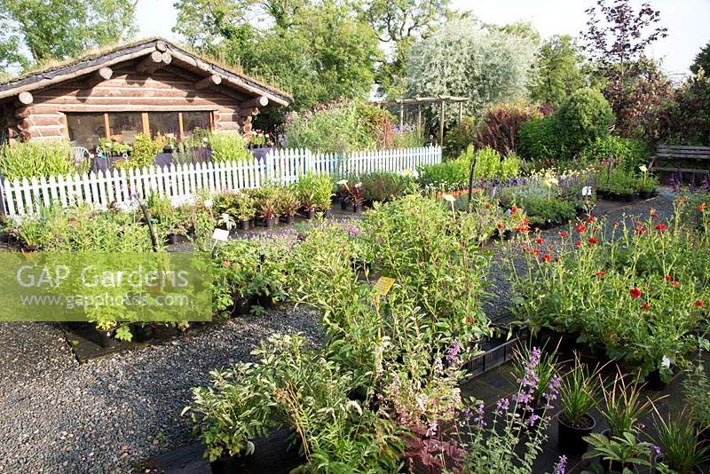 View across the nursery showing potted plants for sale, picket fence and sales cabin beyond