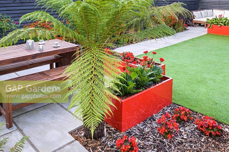 Modern Town Garden - wooden table and benches, red planters with gerbera and tree fern