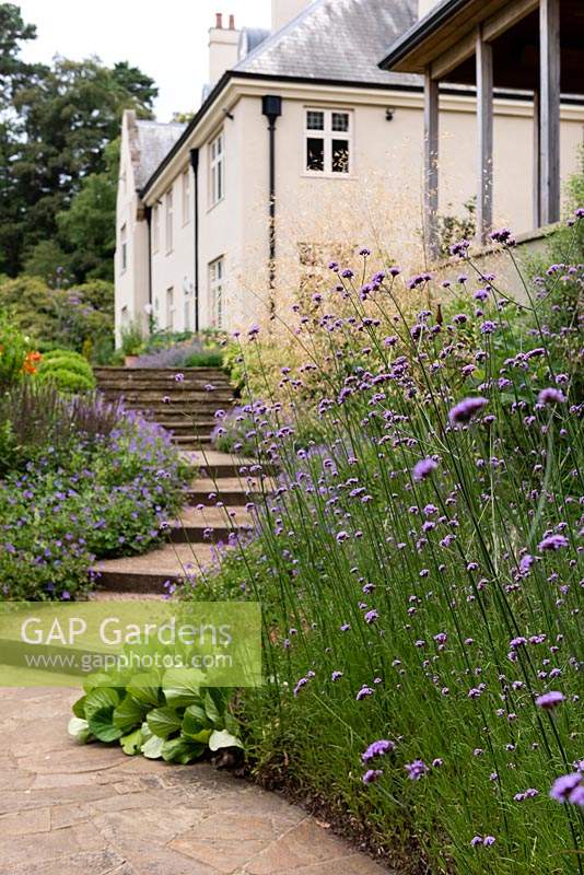 The Loggia Garden and steps up to the Lawn Terrace with Verbena bonariensis. 