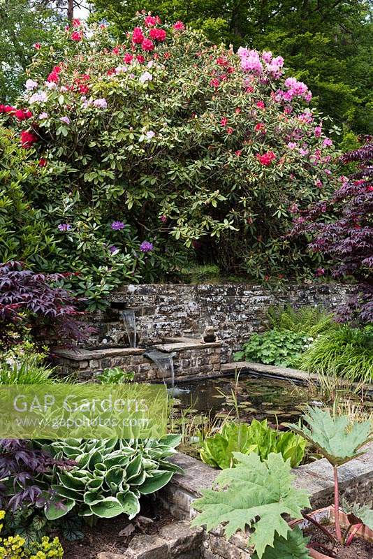 The West Courtyard Pond and water feature. 