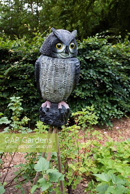 Owl sculpture in garden. 